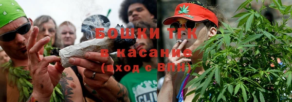 индика Абинск
