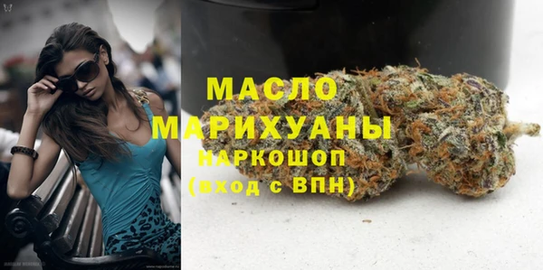 индика Абинск
