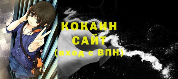 индика Абинск
