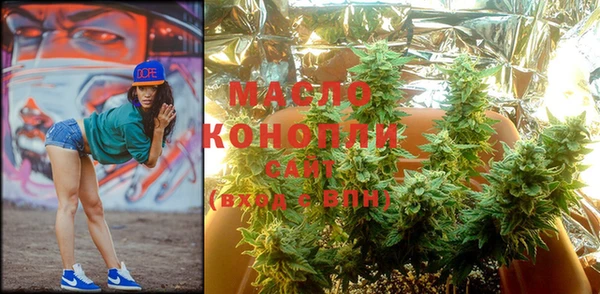 индика Абинск