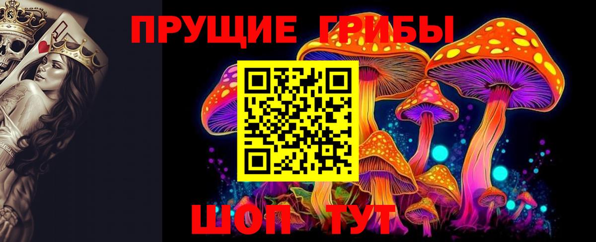 Галлюциногенные грибы прущие грибы  Вход с VPN  Абакан 